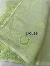 Viscose Organza saree with applique work-MSH101 (2) PistaGreen