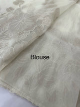 Tissue Organza Applique work saree MS13876 Offwhite