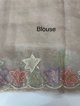 Handworked glass organza saree with applique work- MSHW227- GreyBeige