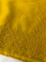 Soft Organza saree with embroidery borders - MSH299