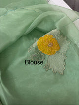 Designer Glass organza saree with applique work- MSH15195
