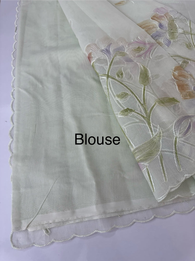 Supernet saree with embroidery and handpainting MSH104- PastelGreen