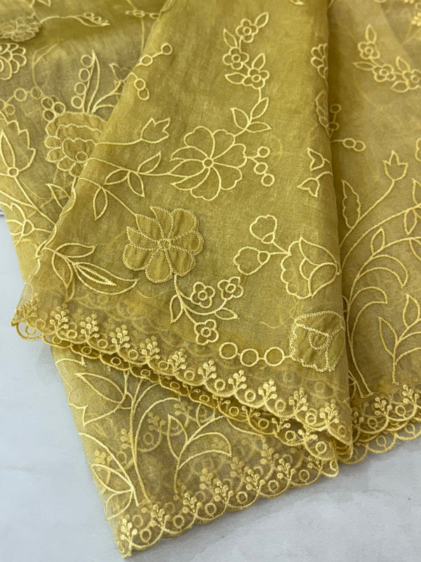 Tissue Organza Applique work saree MS14053