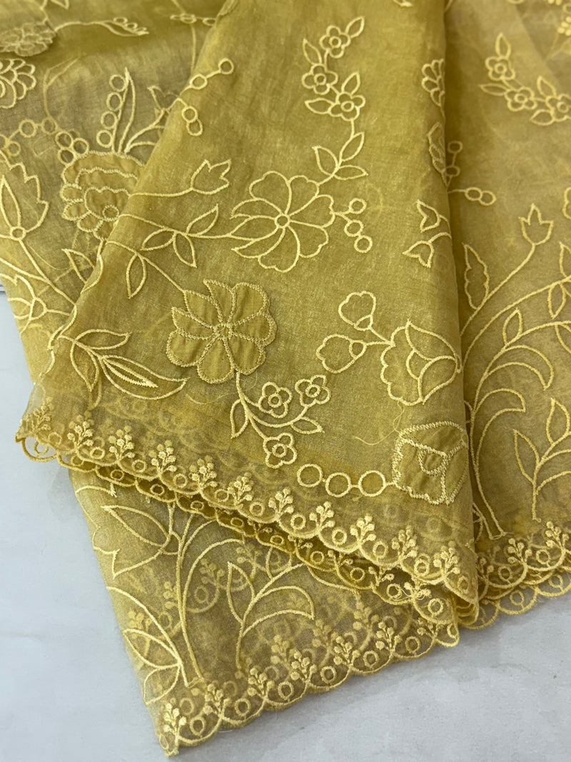 Tissue Organza Applique work saree MS14053