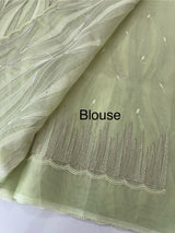 Semi organza saree with thread work - MSH910 PastelGreen