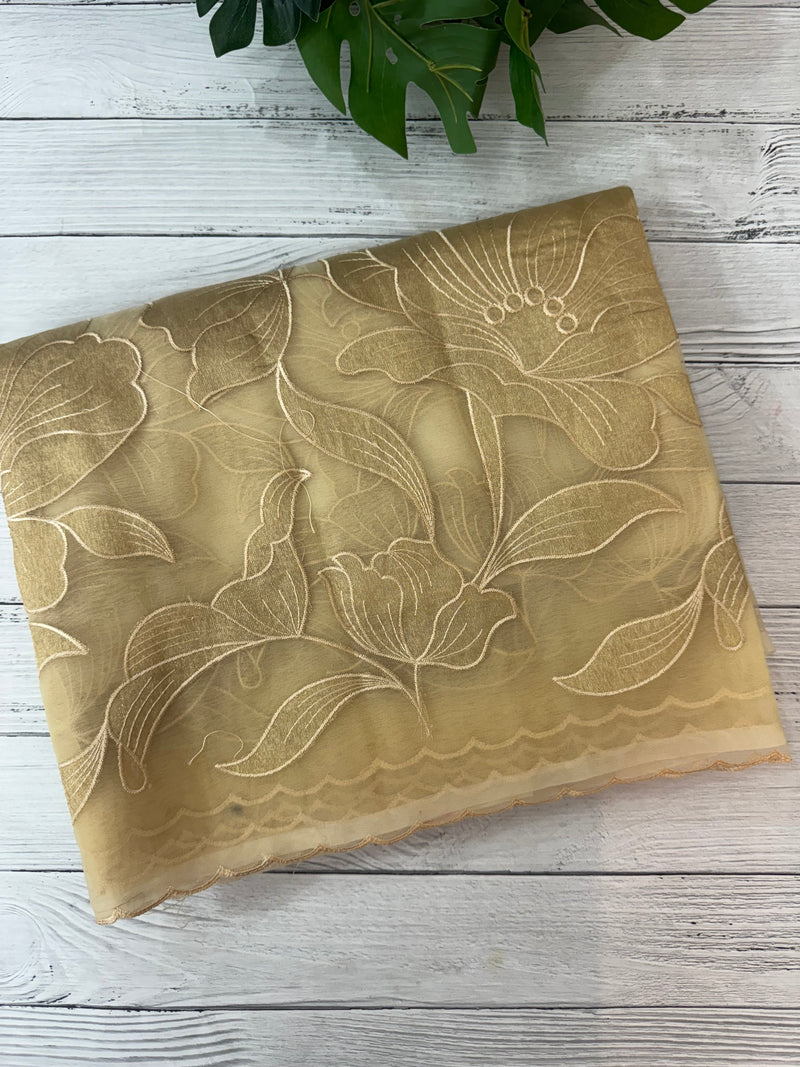 Organza saree with tissue applique work MS5081 - Beige