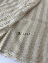 Tissue chanderi saree with applique work MSH175