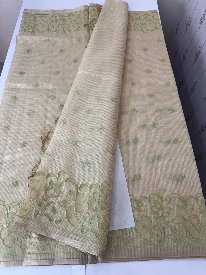 Tissue silk saree with applique work MTSS987