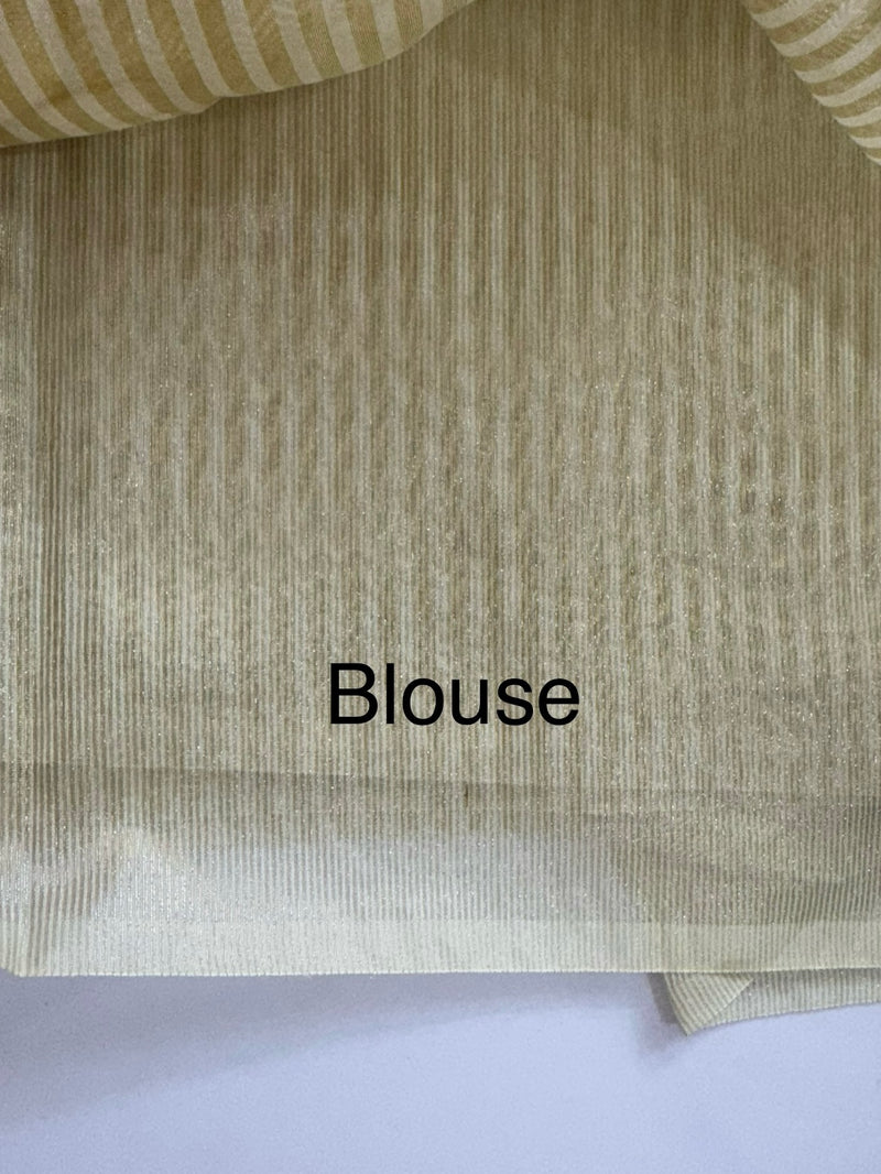 Tissue mix Soft silk saree with applique work MS8146 - Golden