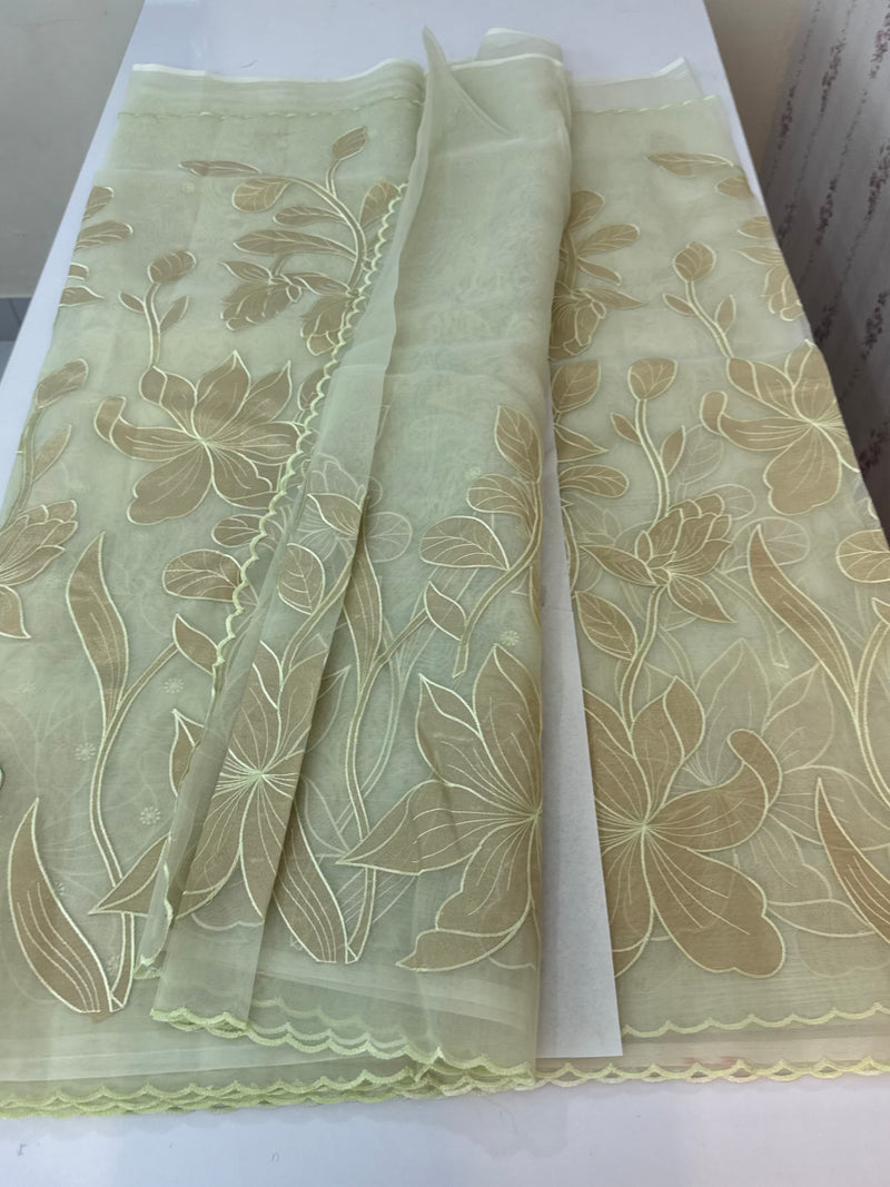 Organza saree with tissue applique work MS5081- PastelDuskyGreen