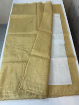 Tissue silk saree with mirror work and scalloped border MTSS432- DuskyYellow