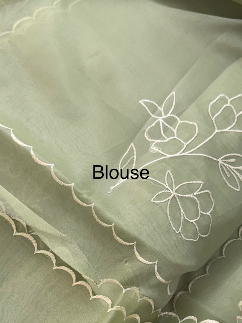Organza saree with applique work MS5081