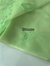 Viscose Organza saree with applique work-MSH101 PistaGreen