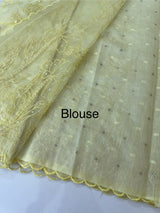 Organza saree with embroidery and pearl work - MSK54- LimeYellow