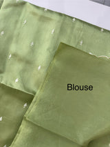 Tussar finish soft silk saree with white thread embroidery MTS567 PastelGreen