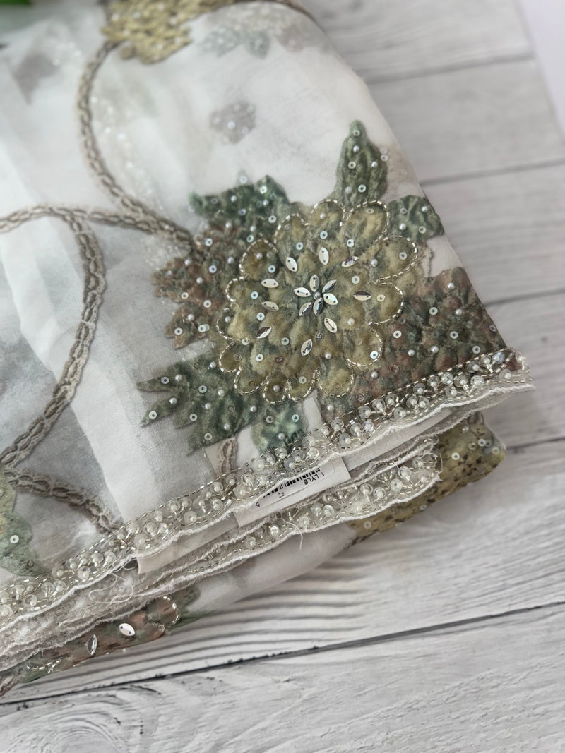 Handworked chiffon Organza saree MCS4534