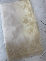 Semi Organza saree with applique borders - MCW799