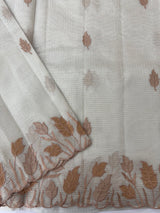 Tissue silk saree with applique work  MSH105