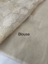 Viscose organza saree with thread work - MSH925 PastelTaupe