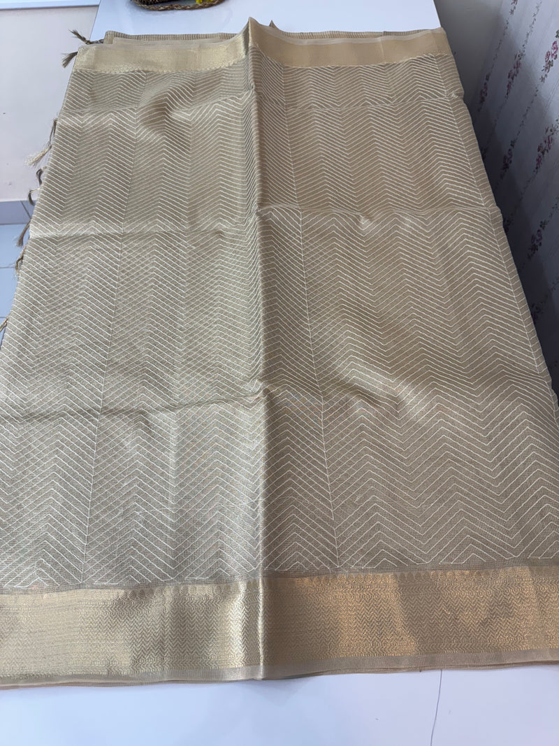 Tissue silk saree MTTS65