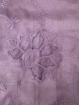 Glass organza saree with applique work- MSHW229