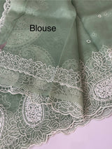 Viscose Organza saree with embriodery-MS14414