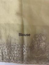 Semi Organza saree with applique and sequence borders - MCW699 Chiku