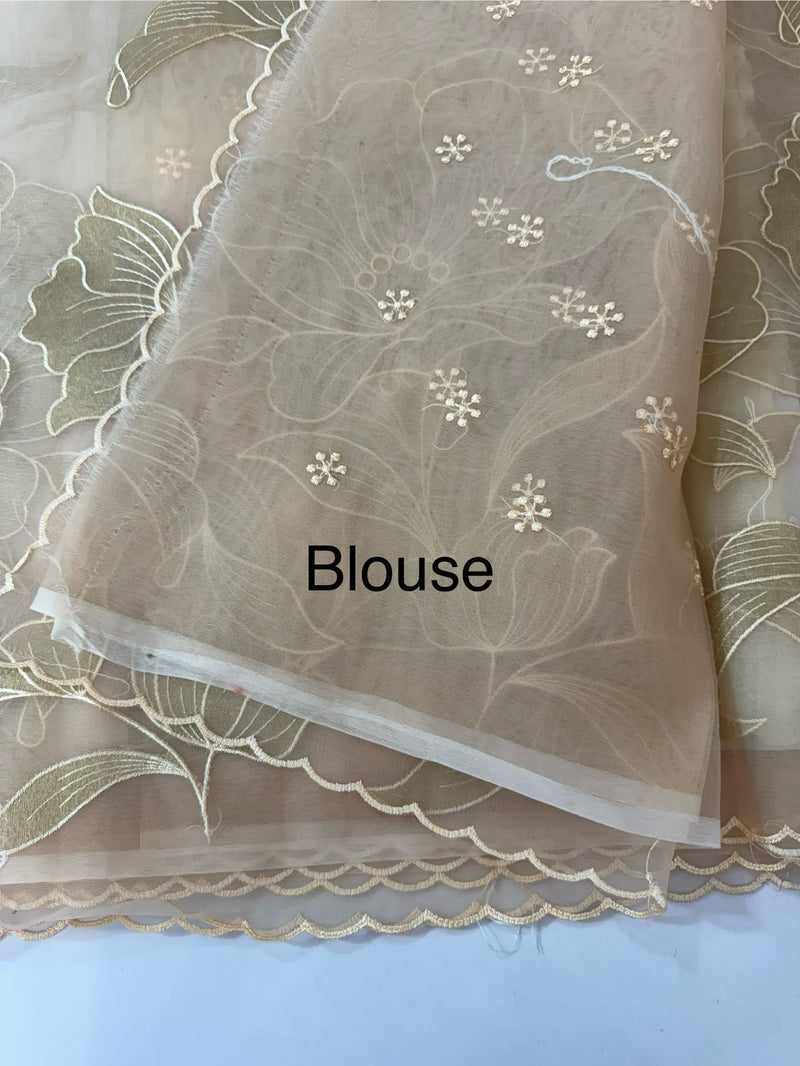 Organza saree with tissue applique work MS5081 - PastelPeach