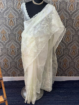 Tissue Organza Applique work saree MS15203- Pastel MintGreen