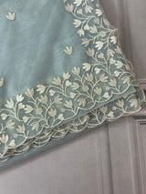 Glassy tissue organza saree with embroidery FKSF88- PowderBlue