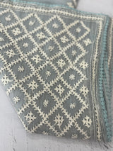 Tissue Organza saree with hand embroidery - MS14791 PowderBlue