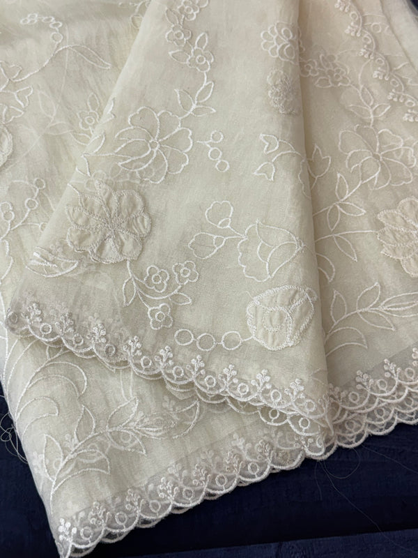 Tissue Organza Applique work saree MS14053