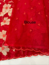 Semi organza saree with tissue applqiue work - MSH931