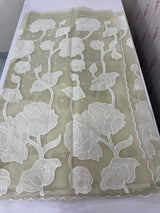 Semi organza saree with appliqué work - MSH906 PastelGreen