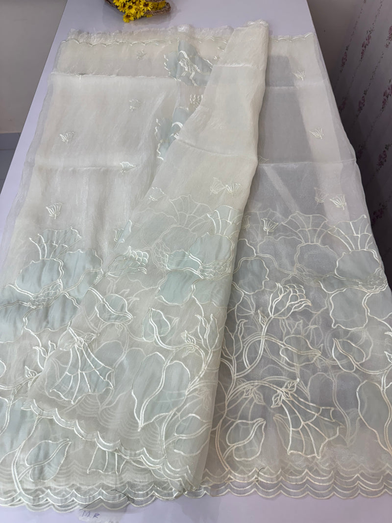 Tissue Organza Applique work saree MS15203