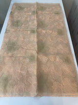Viscose organza saree with thread work - MSH925 Peach 1