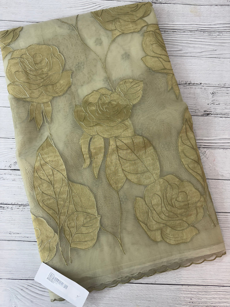 Organza saree with tissue applique work MS5081- Pastel DuskyGreen