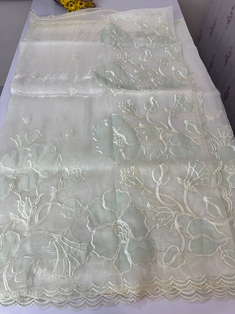 Tissue Organza Applique work saree MS15203- Pastel MintGreen