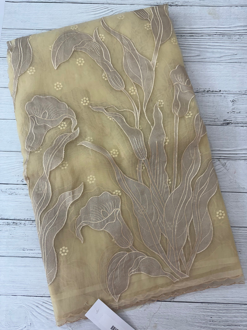 Organza saree with tissue applique work MS5081- Beige