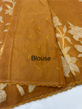 Semi organza saree with appliqué work - MSH906- RustOrange