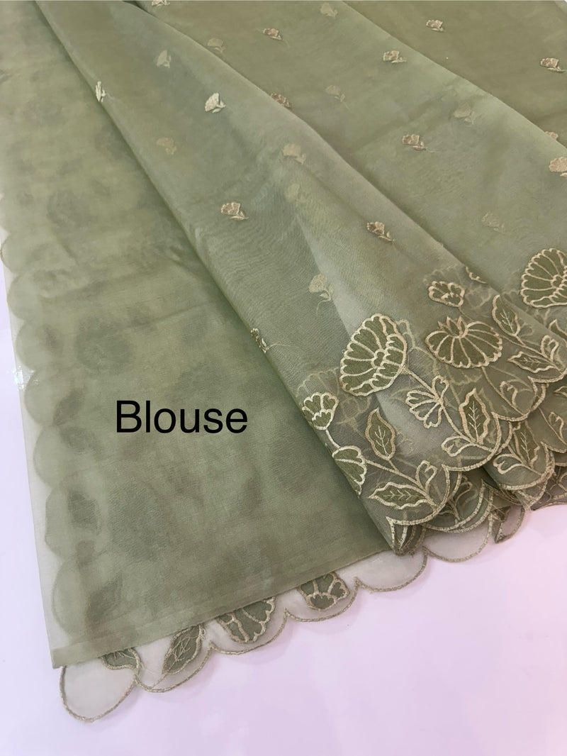 Viscose Organza saree with applique work-MSH103 DuskyGreen