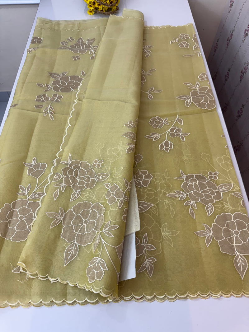 Organza saree with applique work MS5081