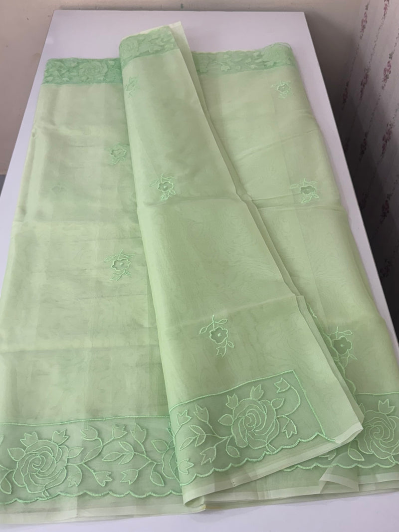 Viscose Organza saree with applique work-MSH101 PistaGreen