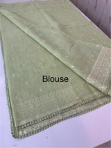 Semi linen saree with chikanakari embroidery- MS15086 PastelGreen