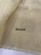 Viscose organza saree with thread work - MSH925