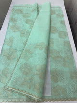 Viscose organza saree with thread work - MSH925 PastelAqua
