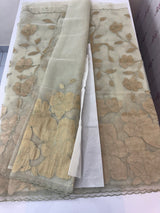 Organza saree with tissue applique work MS5081 - Pastel DuskyGreen