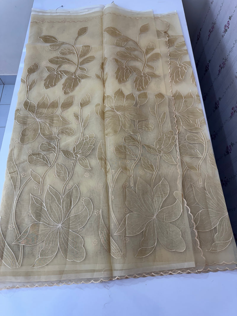 Organza saree with tissue applique work MS5081- Beige