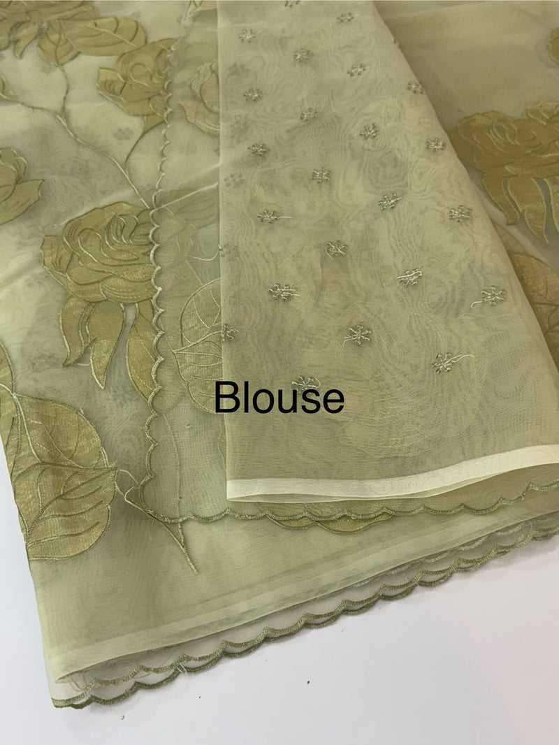 Organza saree with tissue applique work MS5081- Pastel DuskyGreen
