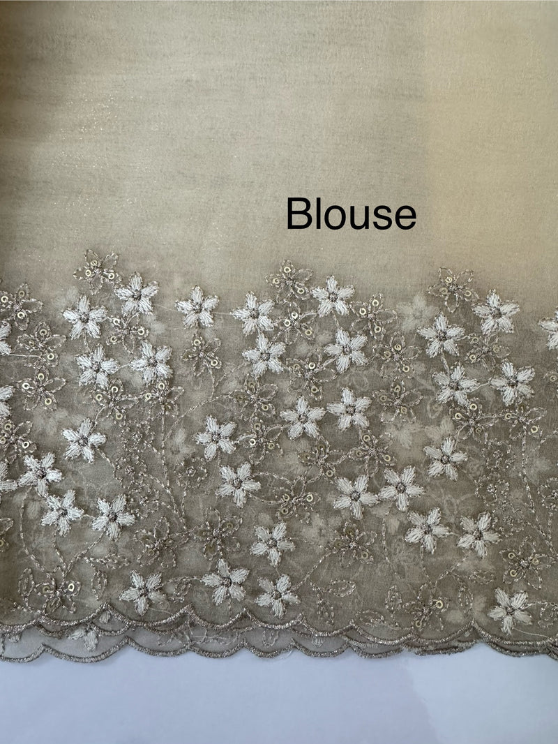 Crush tissue Organza saree with embroidery work MS14791- Beige